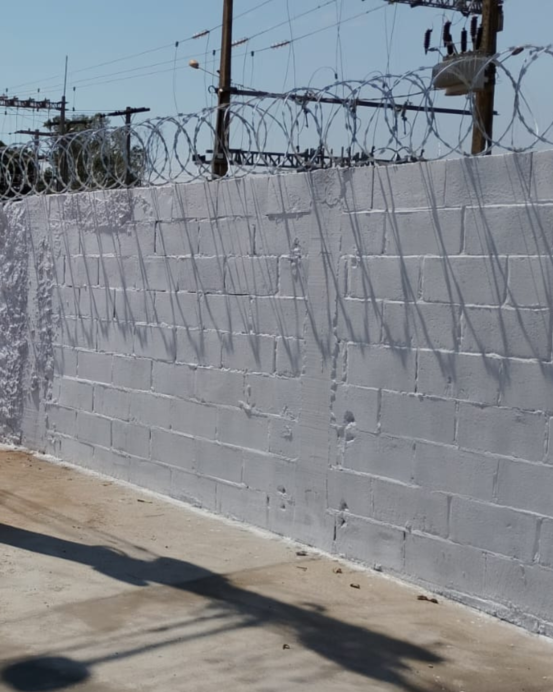 Portfólio completo de insumos agrícolas de alta qualidade (21)